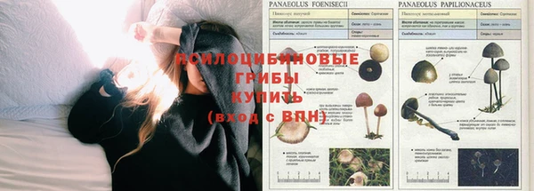 скорость Алексеевка