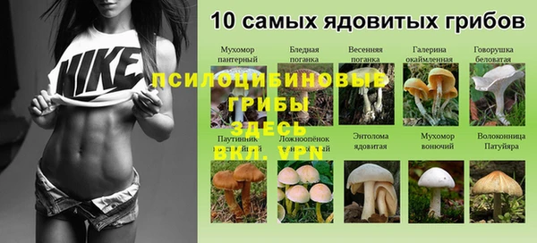 скорость Алексеевка